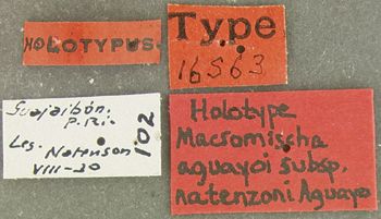 Media type: image; Entomology 16563   Aspect: labels